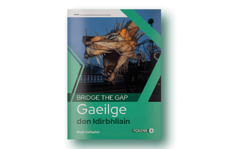 Bridge the Gap Transition Year Gaeilge book TY Irish books