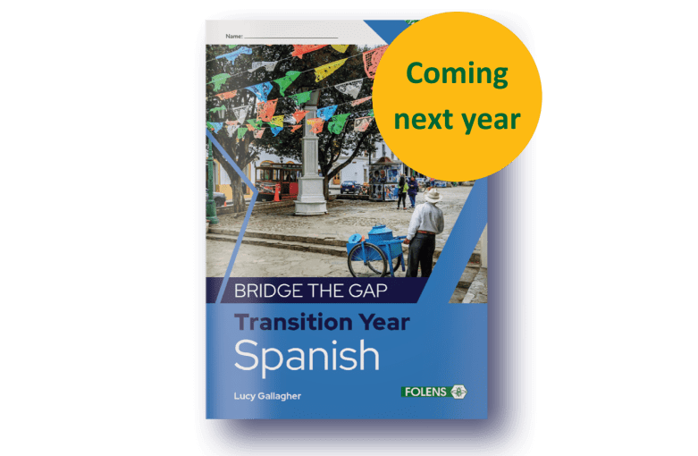 Bridge the Gap Transition Year Series spanish