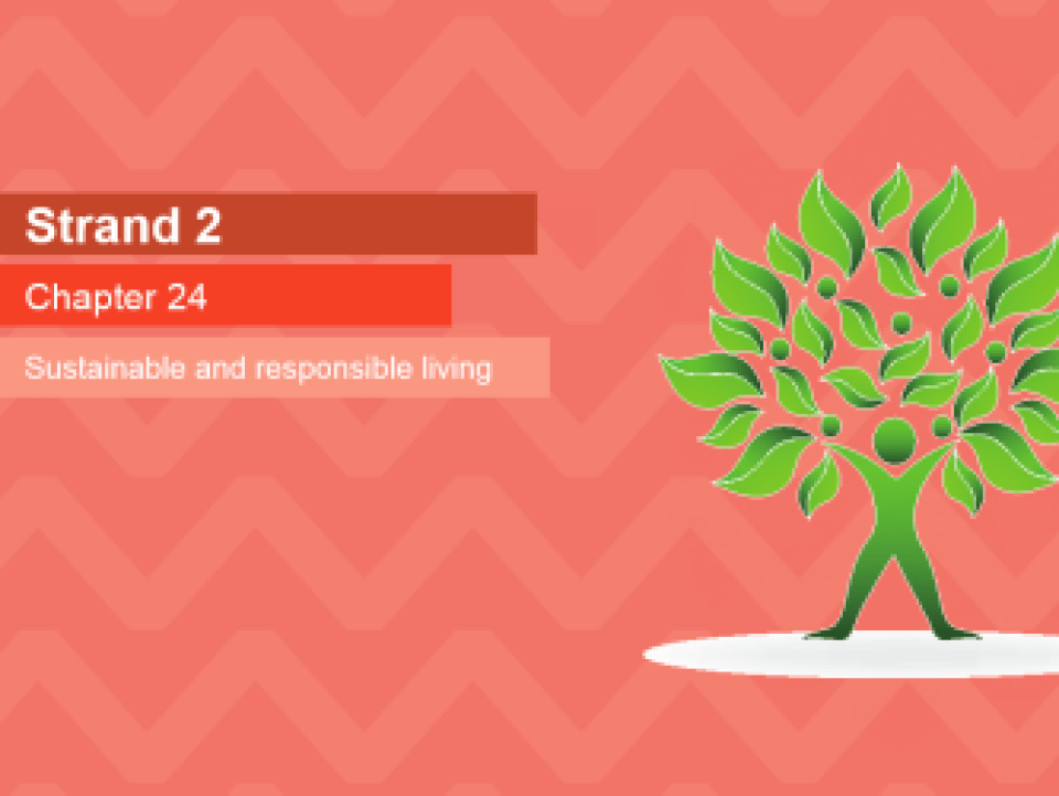 PowerPoint - 24. Sustainable & responsible living
