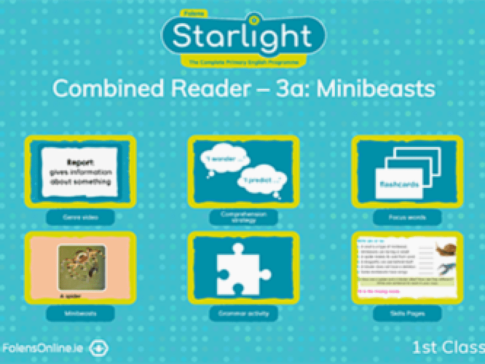 Combined Reader 3a: Minibeasts