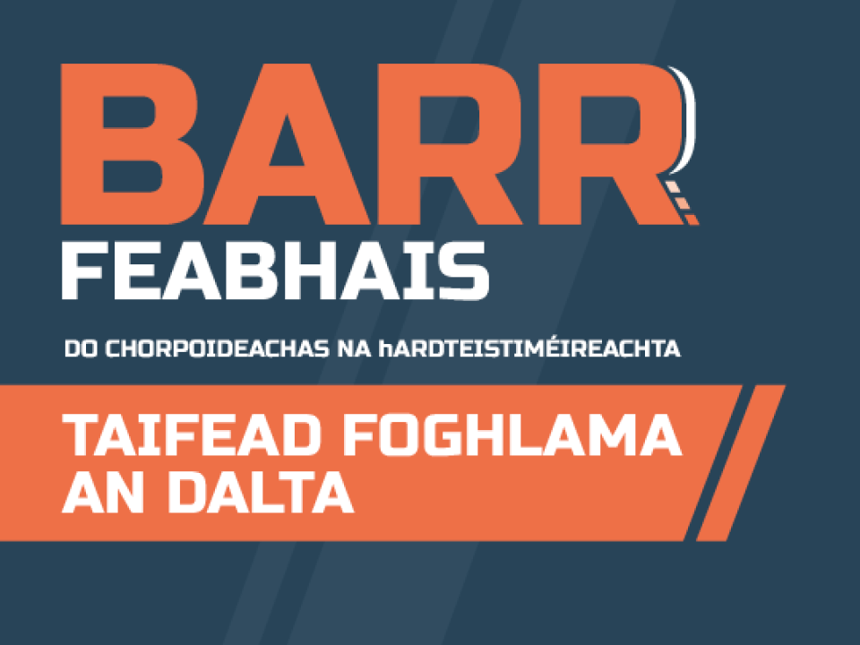 Barr Feabhais Taifead Foghlama an Dalta eBook
