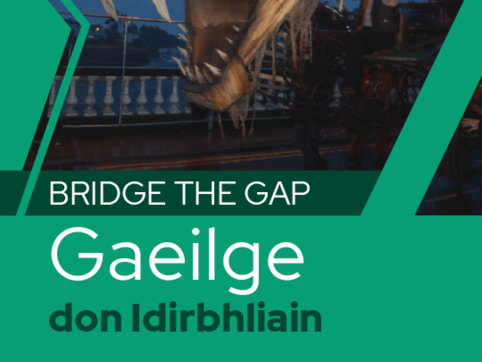 Bridge-the-Gap-Transition-Year-Gaeilge-ebook-Folens