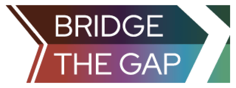 Bridge the Gap Transition Year